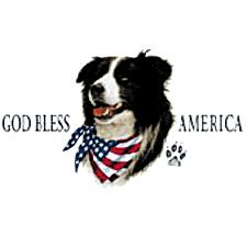 Border Collie and God Bless America