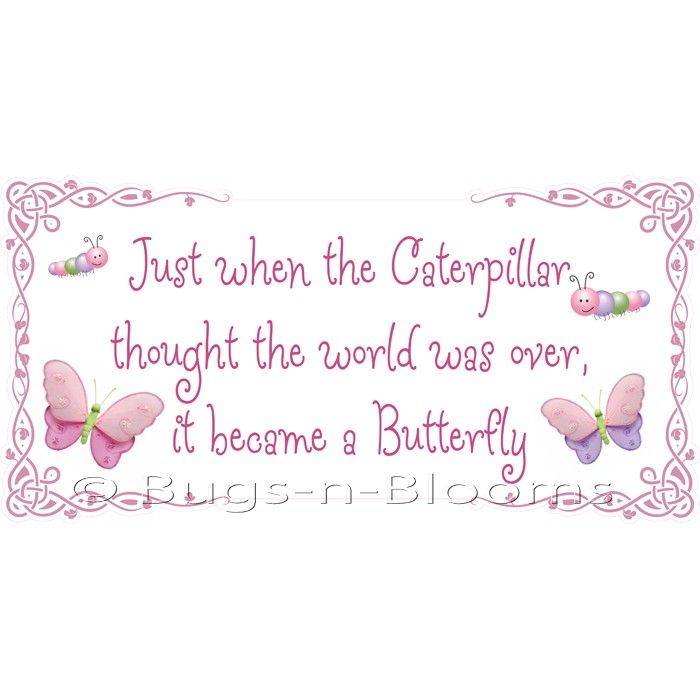 caterpillar-butterfly-wall-saying2.jpg