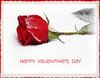 Happy-Valentines-Day-Flowers.jpg