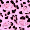 backgrounds pink leopard.jpg
