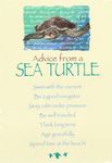 Advice from a Sea Turtle - 3.jpg