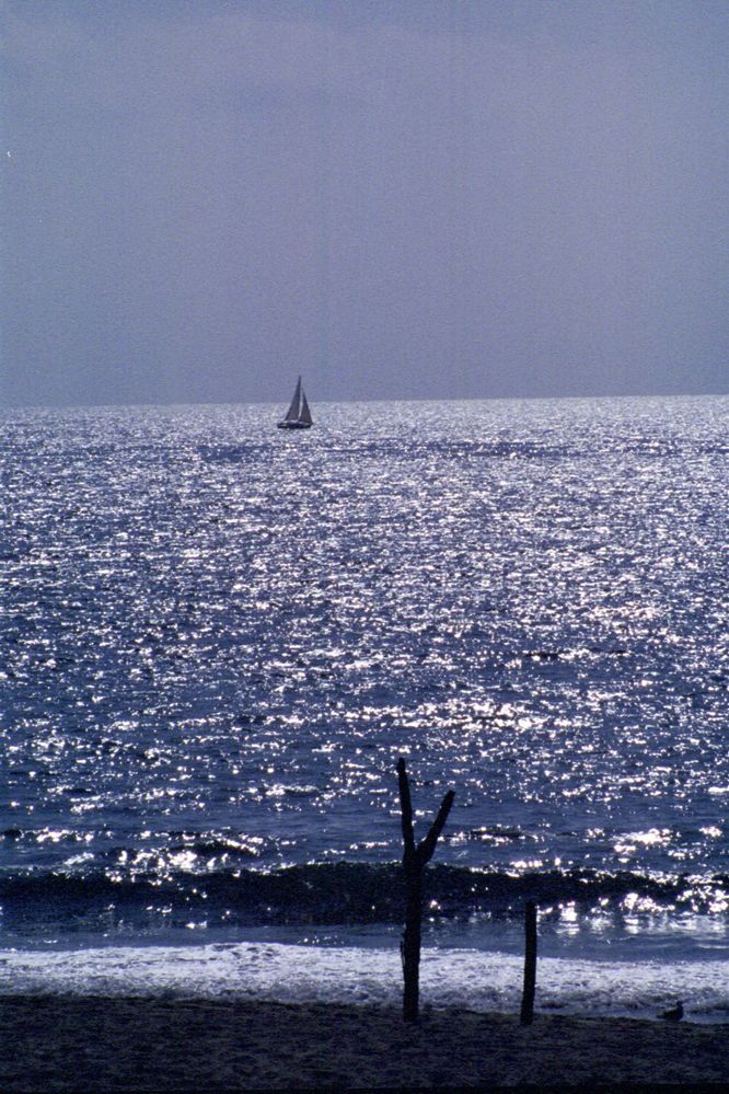 Sailboat off Redondo ii.JPG