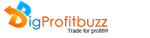 Bigprofitbuzz.png