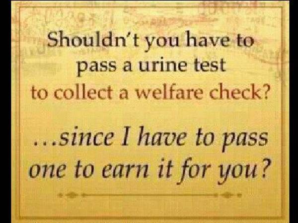 employment test.jpg