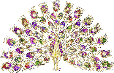 PEACOCK.gif