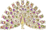 PEACOCK.gif
