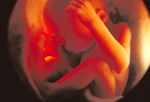 nilsson_rm_photo_28_weeks.jpg