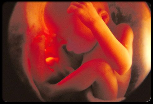 fetal_ultrasound_28_weeks_s10a.jpg