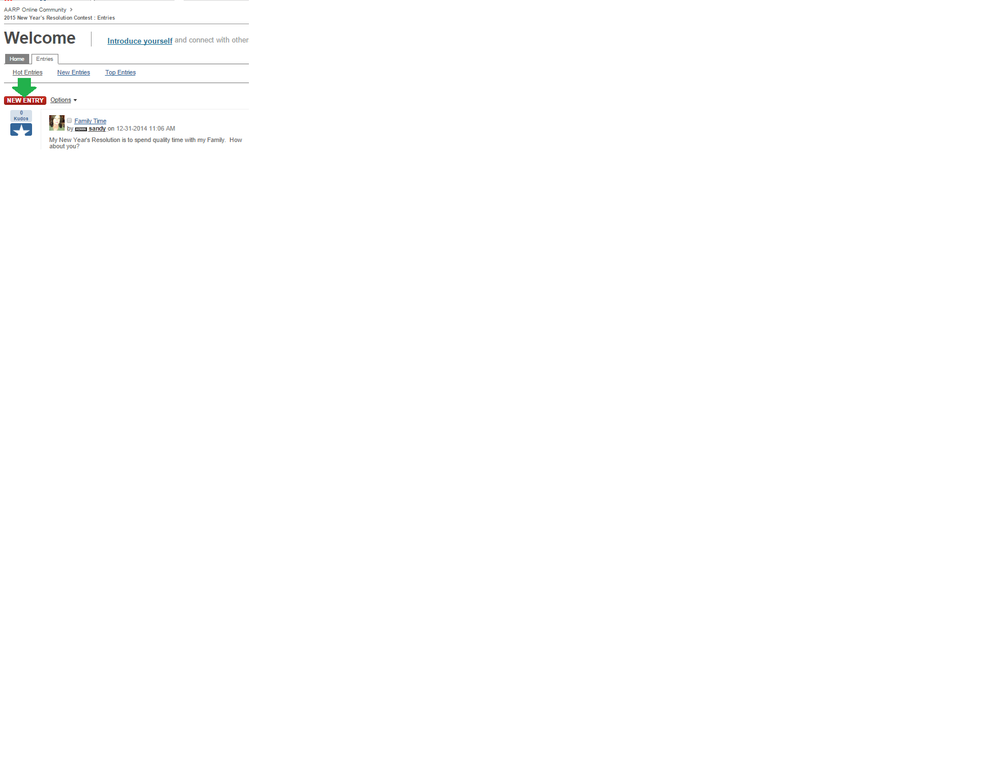 NewEntry.png
