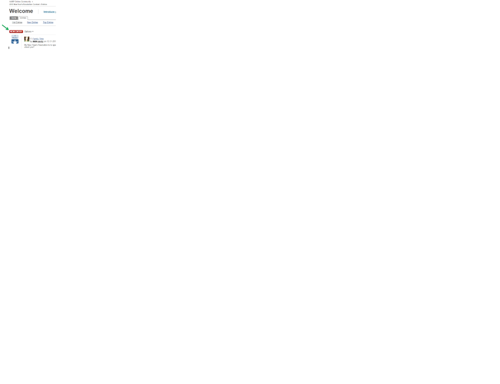 NewEntry.png