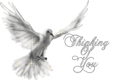PEACEDOVE.gif