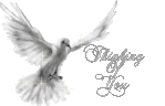 PEACEDOVE.gif