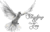 PEACEDOVE.gif