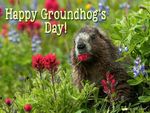 postcard-happygroundhogday.jpg