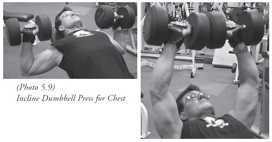 dumbbellpress.jpg