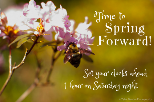 spring-forward-e1425482382603.png