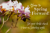 spring-forward-e1425482382603.png