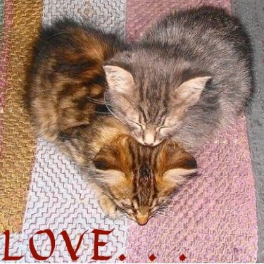 Sister Love - cropped.jpg