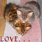 Sister Love - cropped.jpg