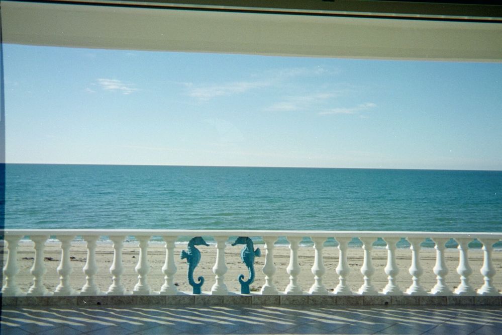 A calm day-Top patio.JPG