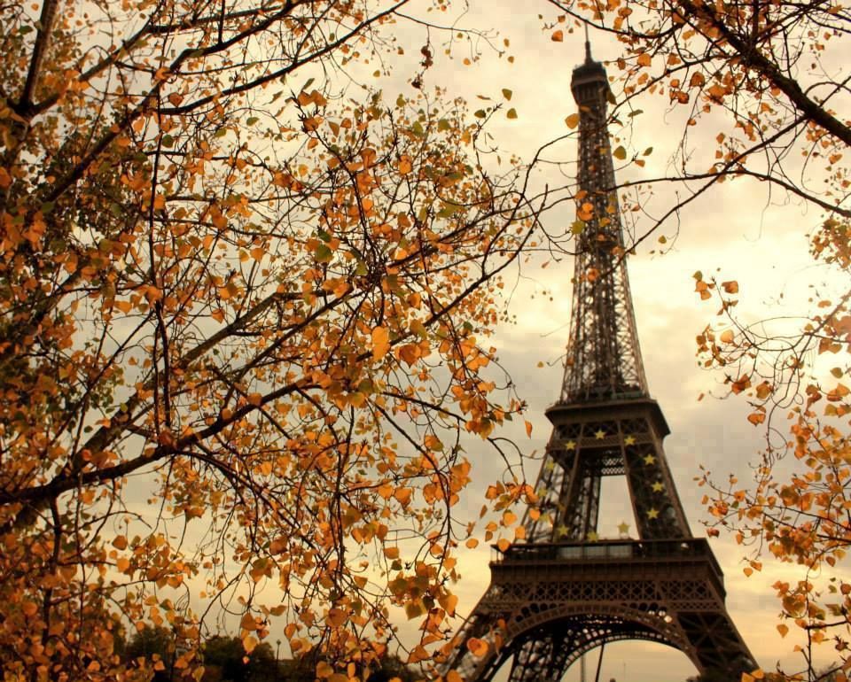 The beauty of Paris in the Fall.jpg