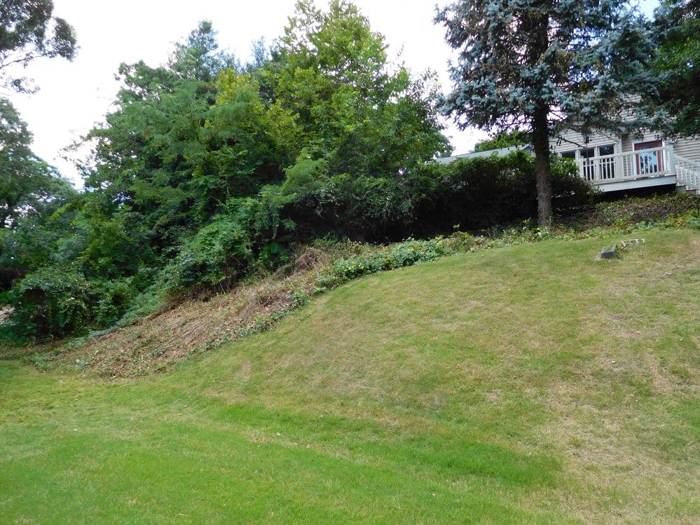Side Hill 3 - 2015 Compressed.jpg
