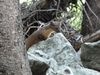 On the way to Cascade Canyon, Tetons, Wy