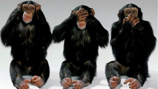 3monkeys.jpg