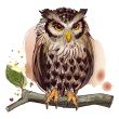 ist1_13767333-owl.jpg
