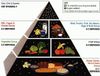 pyramid.jpg