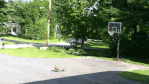 692.gif