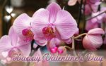 happyvalentineday-ecard-wallpaper-5.jpg