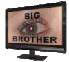 bigbruvtv.gif