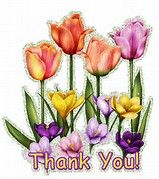 THANK YOU.jpg