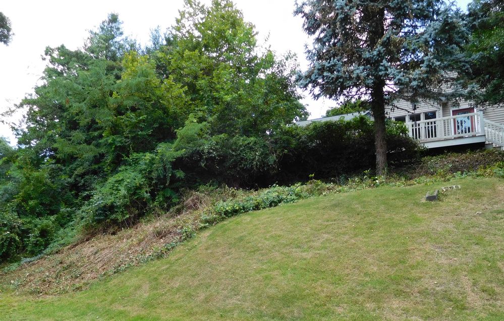 15-08-15 - Side Hill 3 -  Compressed & Cropped.jpg