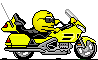 yellow-wing.gif