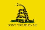 dont-tread-on-me-meaning.jpg