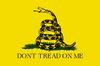 dont-tread-on-me-meaning.jpg