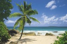 BEACH.jpg