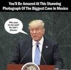 160831-the-biggest-cave-in-mexico_zpsmnlbccan.jpg