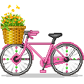 BIKE.gif
