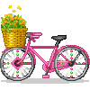 BIKE.gif