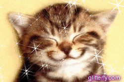 CAT.gif