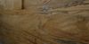 Sequoia Gold 1 - Cropped.jpg