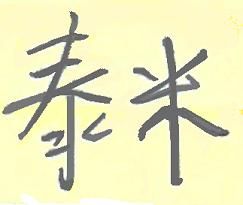 Authentic Tami in Chinese.jpg