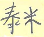 Authentic Tami in Chinese.jpg