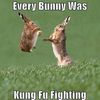 bunny fighting.jpg