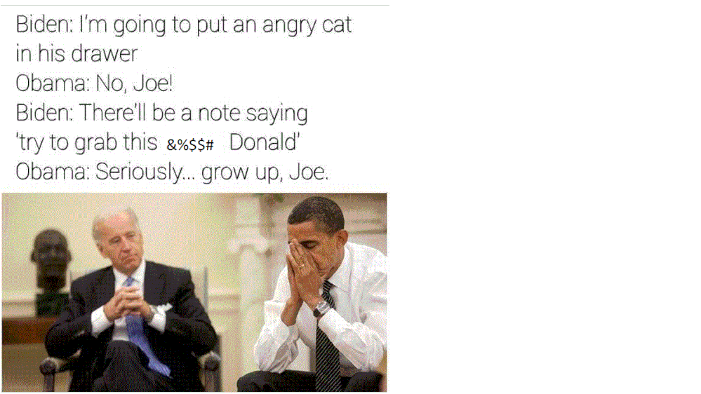 Angry Cat I.gif