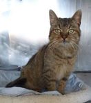 Profile (hooblybop9)