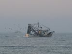 shrimpboat.jpg